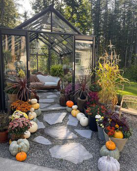 autumn greenhouse with couch