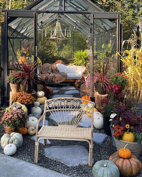 autumn greenhouse